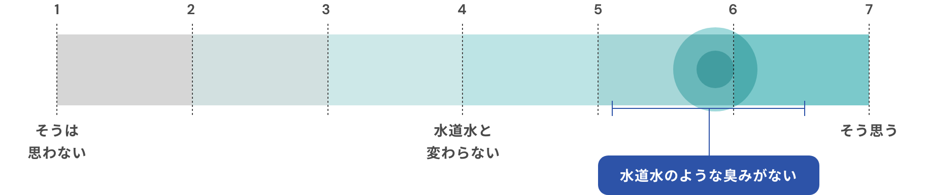 官能評価 グラフ